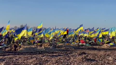 The scale of the losses is simply shocking