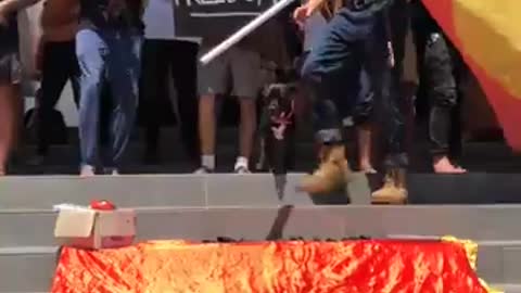 WE NEED MORE OF THIS TO BRING PEACE!!!