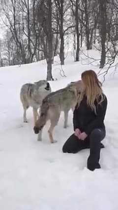 The bond between woman and wolf