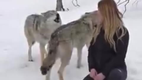 The bond between woman and wolf