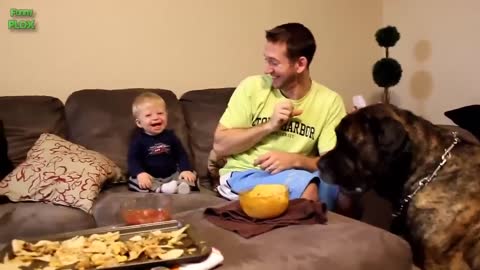 Cute babies laughing with their dogs😍😍🥰🥰😂