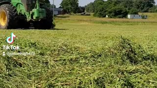 Second cut alfalfa