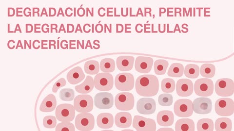 Tratamientos que eliminan el cáncer