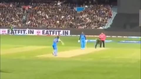 Virat kohli short