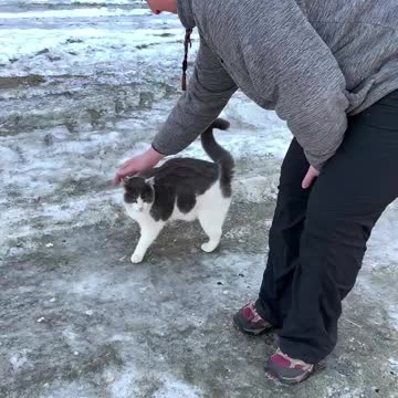 We Found A Kitty Kitty