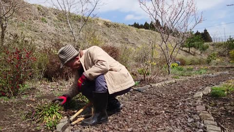 Our flower garden and scenery in Nasu, Japan.