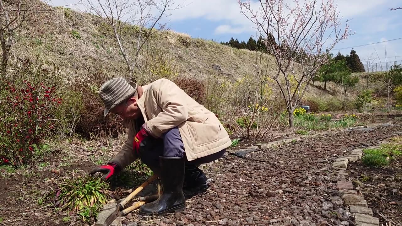Our flower garden and scenery in Nasu, Japan.