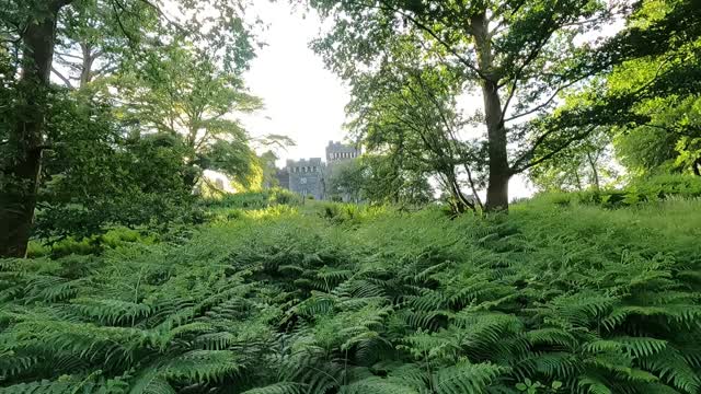 Wray castle