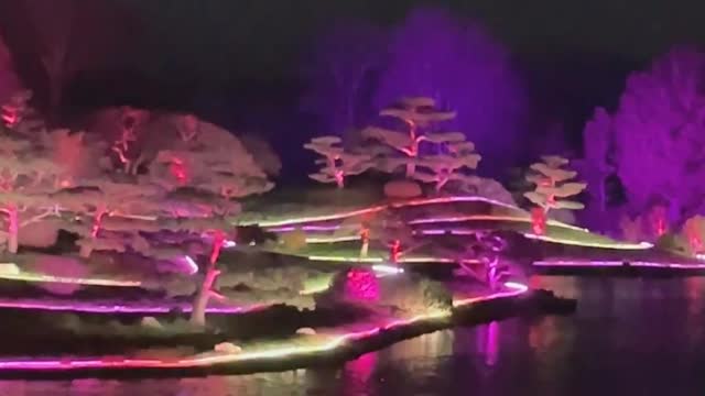 Chicago Botanic Garden - LightScape 2022