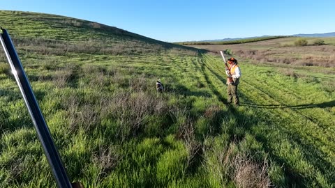 GREAT MORNING OF CHUKAR HUNTING!