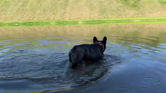 Games in the water