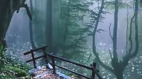 Beauty of Nature