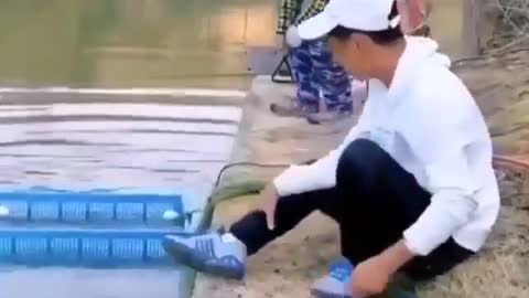 This is a beautiful and charming water-dwelling species