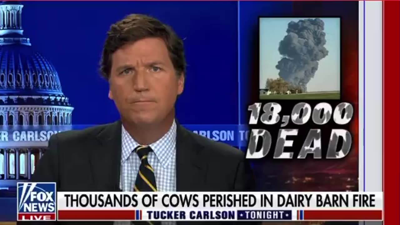 SHOCKING: Dairy Farm Explosion Kills 18,000 Cows