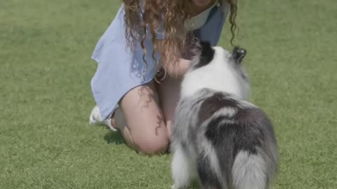 Woman Training Her Dog