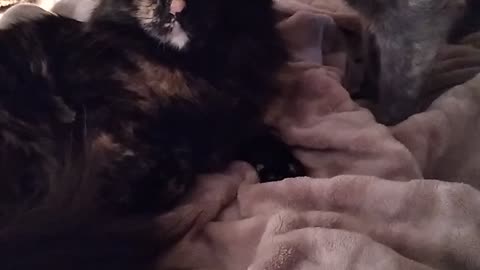 Sisterly love