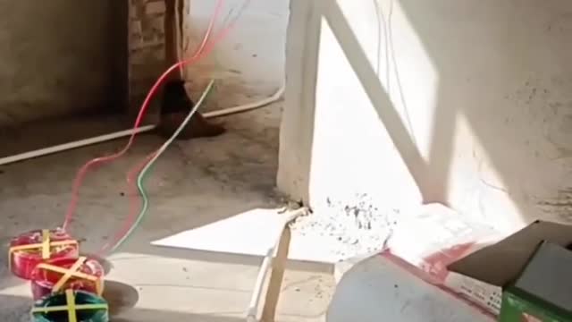 Best usefull idea life hack tricks 😳💡😱 @amazingfact @shorts_ @amazing @idea_1080p