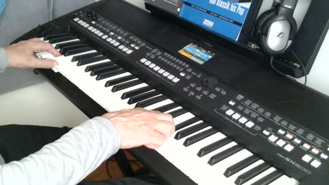 Rot sind die Rosen (Semino Rossi) cover by Henry, Yamaha PSR SX600