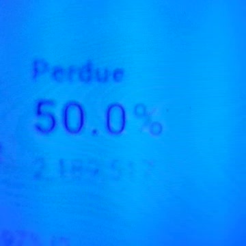 INTERNATIONAL WIDE ELECTION FRAUD VOTING MACHINE CRIME, GEORGIA RUNOFF SHAM ELECTION CRIME 283