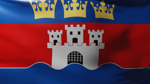 Flag of Jönköping County