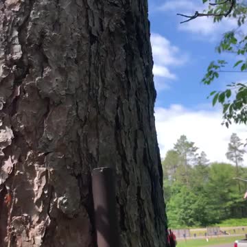 Spring loaded geocache