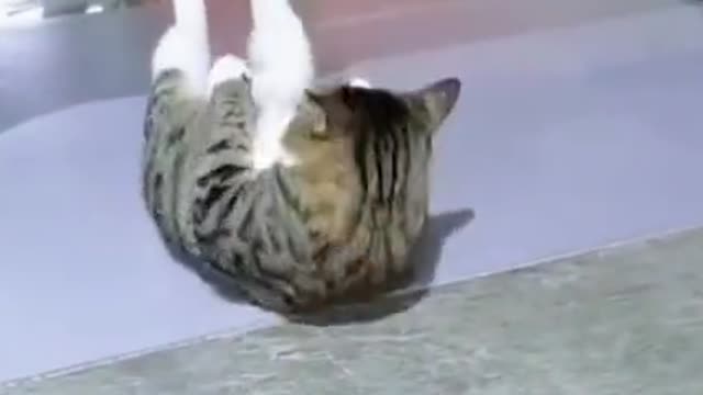 HAHA IT WILL BE VERY STRONG