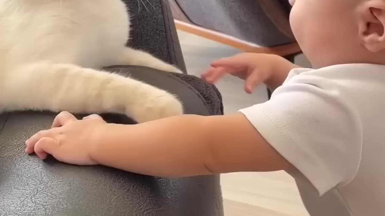 https://youtube.com/shorts/Z31VqNtniXE?feature=share