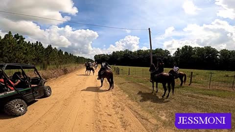 RACERS DELITE | ST JOHN SADDLE CLUB