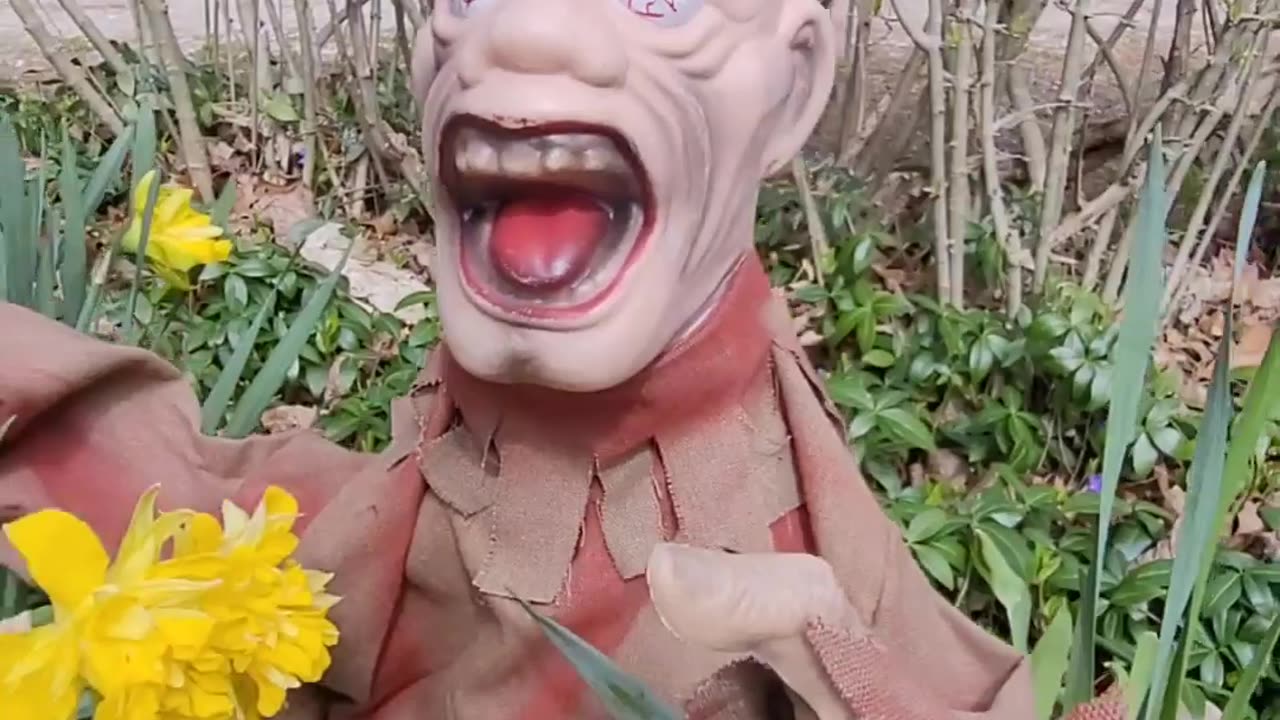 Zombie animatronic in the Spring 🌼🌷