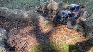 Axial RR10#2