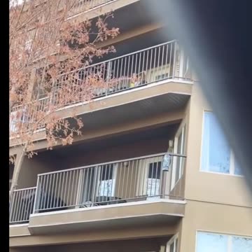 Owl statue on the balcony to bring good luck