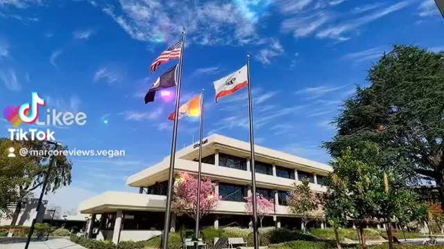 Downey city hall Google local guide Irvine California Woodbridge reports #reviews