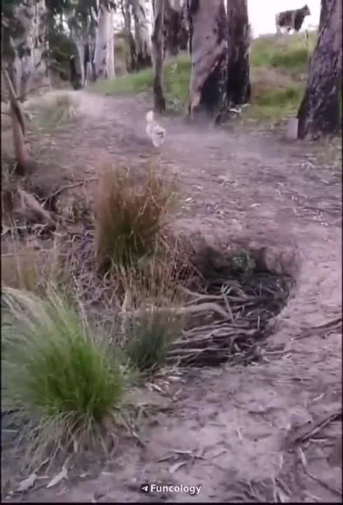 Who is meaner than the two. Be the judge