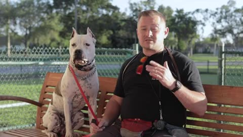 #How to train your dog#