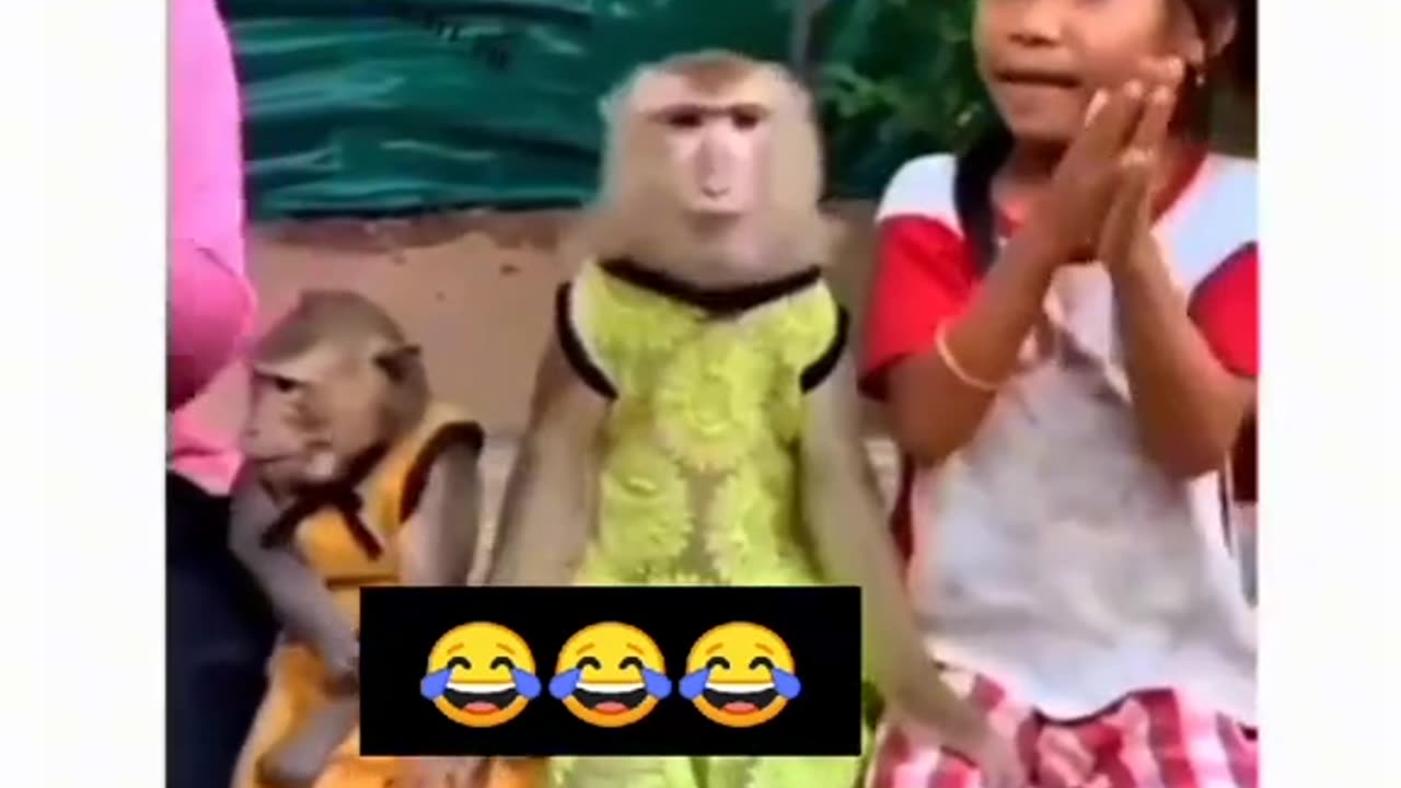 Funny video