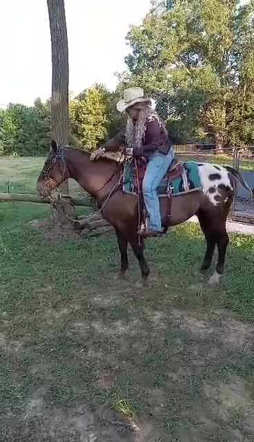 We highly recommend Eddie Landers Horses on Rumble.com❗ ❤🐎❤