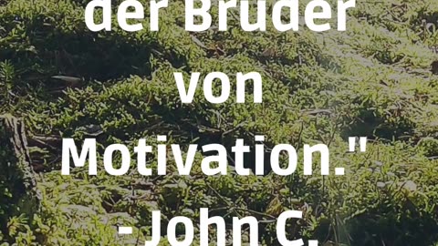 Motivation und Disziplin