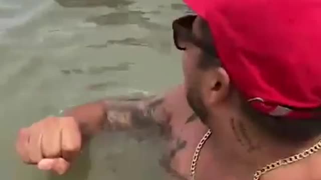 Guy Swimming with Lucero the Dolphin Gets Bit