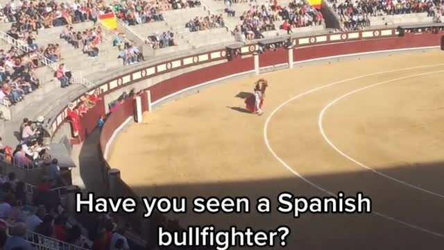 One of the best shows I’ve ever seen. Do this in Spain!