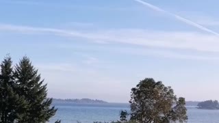 Cool Phone Trick