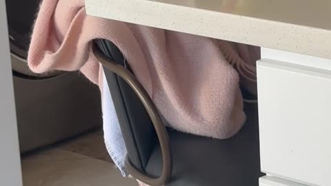 Parrot Pushes Water Cup Off Kitchen Counter