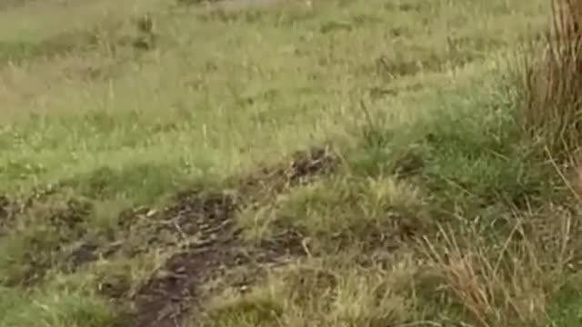 Tornado Funnel Cloud Touches The Ground In North Yorkshire, England