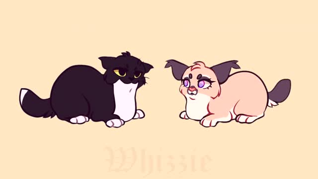 Tommy the cat