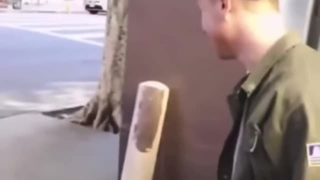 Roadside mischief