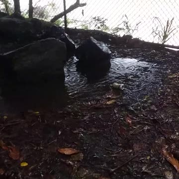 29.3.2024 Rubbishtown