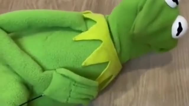 Kermit The Frog Needing To Fart