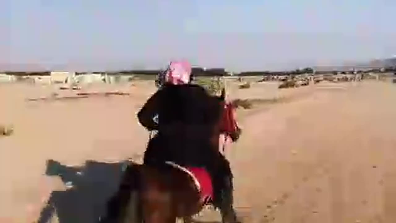 Horse riding best