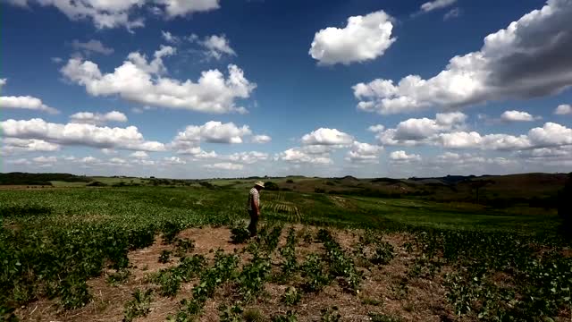 Why are global food prices going up?