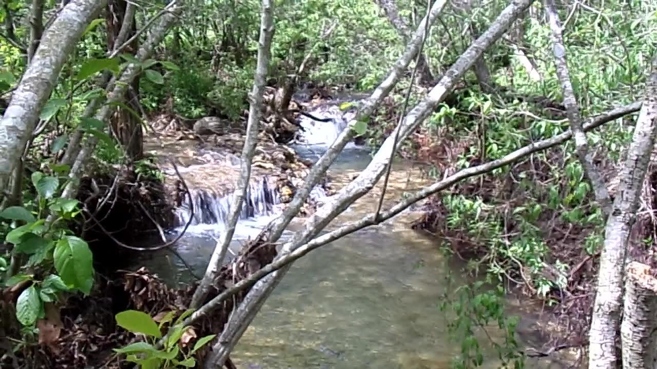 Little Falls On The Changing Creek