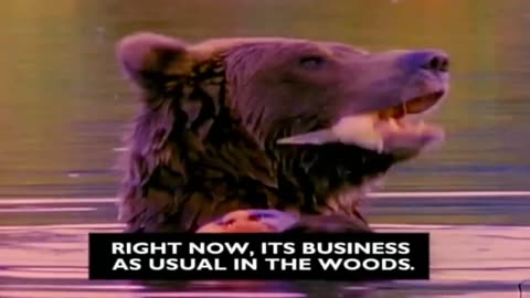 VAN HALEN - Right Now (Official Video)